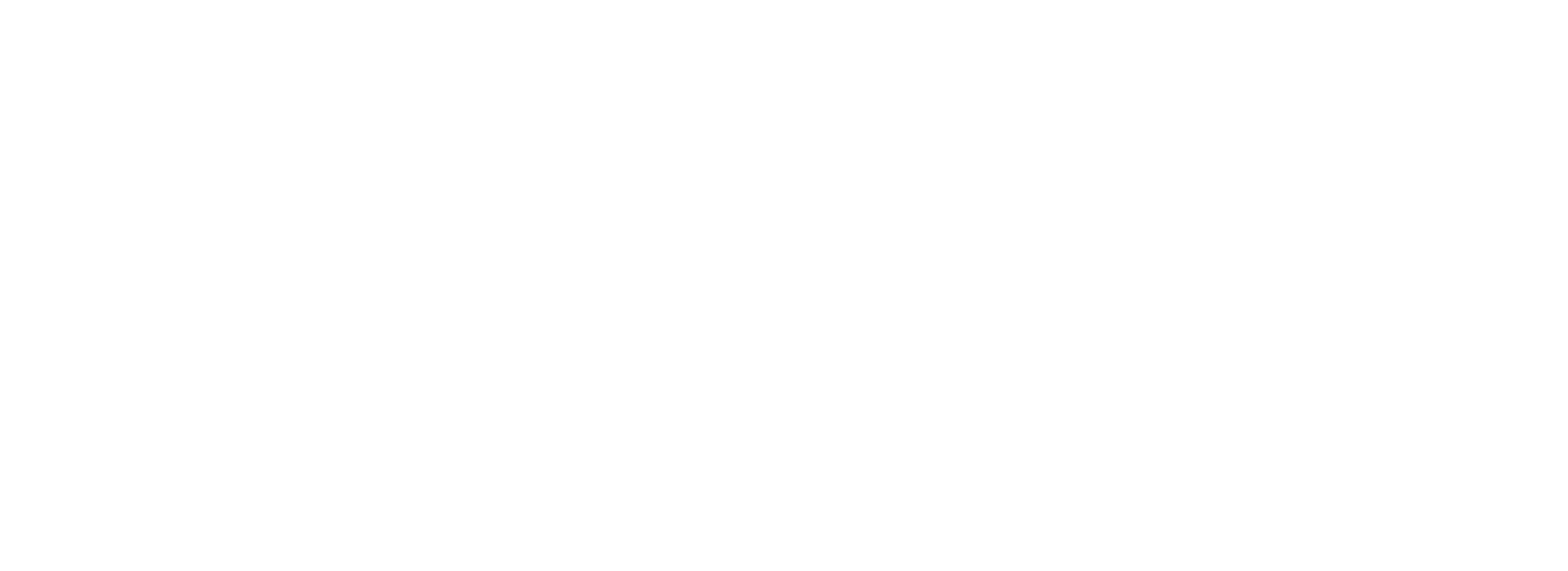 CDG Inspection